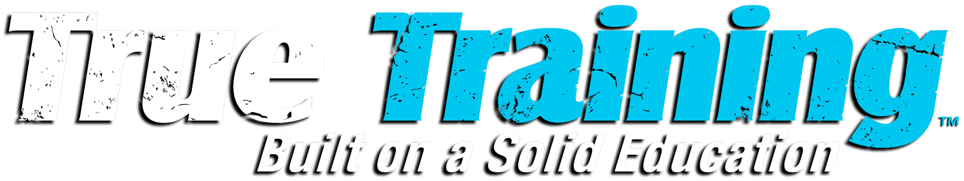 True Brand True Training Logo